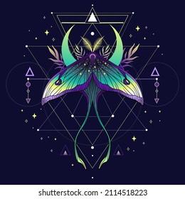 Beautiful cute vector illustration of butterfly in violet colors. For print for T-shirts and bags, decor element. Mystical and magical, astrology illustration