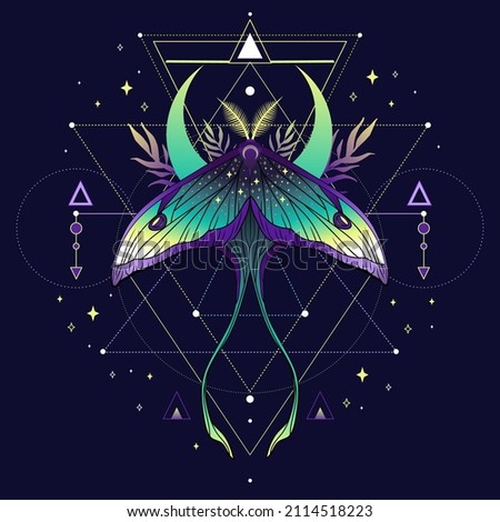 Beautiful cute vector illustration of butterfly in violet colors. For print for T-shirts and bags, decor element. Mystical and magical, astrology illustration