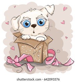 Beautiful and cute white puppy in a gift box
