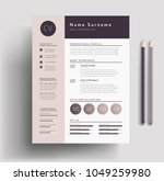 Beautiful CV / Resume template - elegant stylish design - dusty pink color background vector