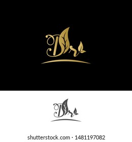 Beautiful D R letters with leaf. Handwriting, Signature, wedding, fashion, boutique, jewelry, botanical , floral logo creative Vector logo Design template