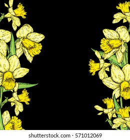Beautiful daffodils. Vector illustration. Frame of spring flowers. 