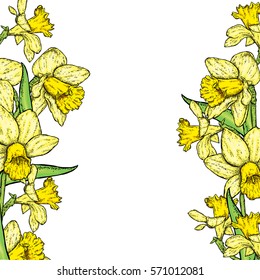 Beautiful daffodils. Vector illustration. Frame of spring flowers.  