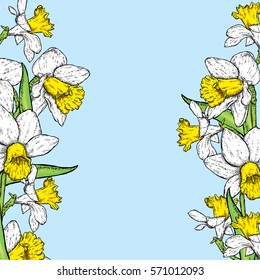 Beautiful daffodils. Vector illustration. Frame of spring flowers. 