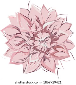 Beautiful Dahlia flower with the numerous of petals in abstract way
