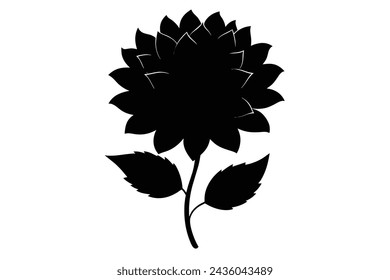 Beautiful dahlia flower vector illustration artwork