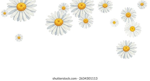 Beautiful  daisies frame on a white background, perfect for spring and summer designs, invitations, and greeting cards. The delicate flowers create a fresh and cheerful atmosphere.