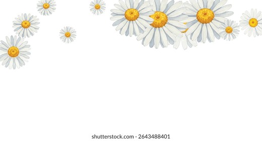 Beautiful  daisies frame on a white background, perfect for spring and summer designs, invitations, and greeting cards. The delicate flowers create a fresh and cheerful atmosphere.