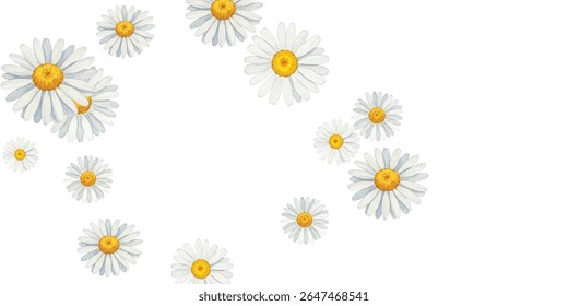 Beautiful  daisies frame on a white background, perfect for spring and summer designs, invitations, and greeting cards. The delicate flowers create a fresh and cheerful atmosphere.