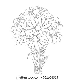 Beautiful daisies isolated on a white background. Vector illustration.