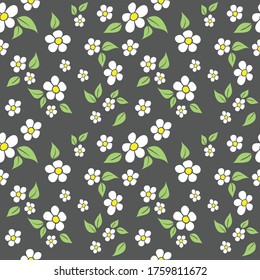 beautiful Daisy floral pattern with gray background