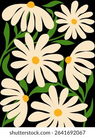 Beautiful daisy flower with black background