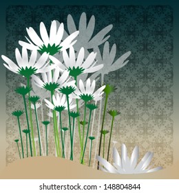 beautiful daisy flower bouquet