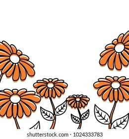 beautiful daisy flower frame decoration ornament