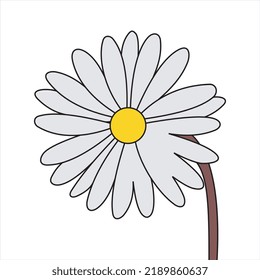 Beautiful daisy flower icon vector illustration with clean lines and simple style. Perfect for nature logo, botanical design, floral decoration, eco brand, wellness, and beauty projects.
