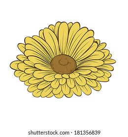 beautiful daisy flower isolated on white background. Hand-drawn contour lines and strokes.