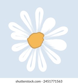 A Beautiful daisy flower, meadow and hand drawn daisy flower on blue backgrounds vector illustration