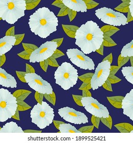beautiful daisy flower pattern drawn in cartoon style with bees sitting on flowers. Seamless pattern of white flowers. Vector illustration isolated on white background.