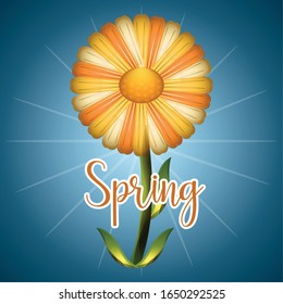 Hermosa flor de margarita con un texto de primavera. Temporada de primavera - Vector