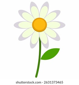 Beautiful daisy flower vector art on white background.