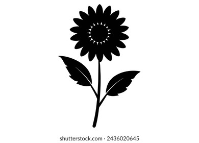 Beautiful daisy flower vector illustration artwork