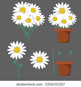 Beautiful daisy on pot, isolated vector illustration, seamless 