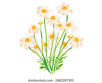 Eine wunderschöne Gänseblümchen-Vektorgrafik