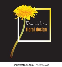 Beautiful Dandelion flower. Realistic vector. Frame for text on a black backgroun. 