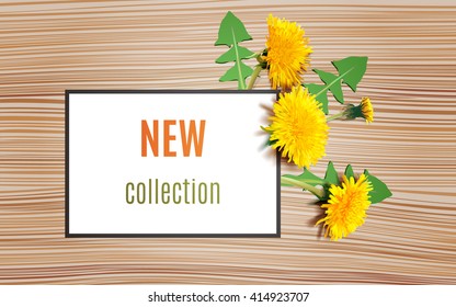Beautiful Dandelion flower. Realistic vector. Wooden background. Card for text.