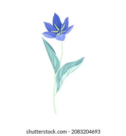 Hermosa flor azul oscuro, planta primaveral, diseño floral de moda ilustración vectorial