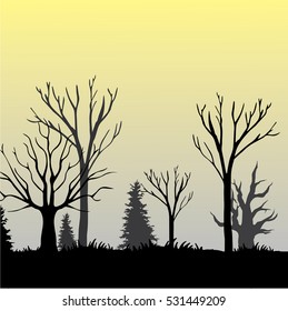 beautiful dark forest illustration