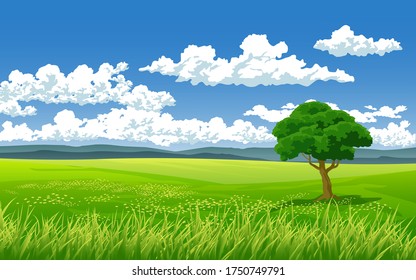 Beautiful day in summer at meadow with tree and cloudy blue sky