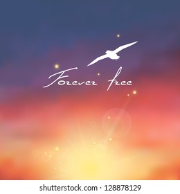 Beautiful decline with the sun, beams and gull. Text "Forever free".