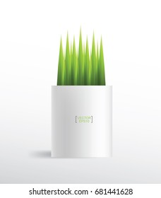 Beautiful decoration plant in flower pot for interior design and decoration. Vector natural object for install in working space area.