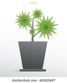 Beautiful decoration plant in flower pot for interior design and decoration. Vector natural object for install in working space area.