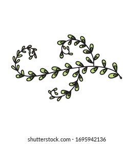 Bonito elemento decorativo. Sucursal. Ilustración del vector