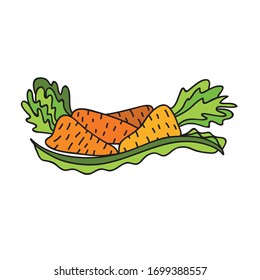 Beautiful decorative element. Carrot. Vector illustration