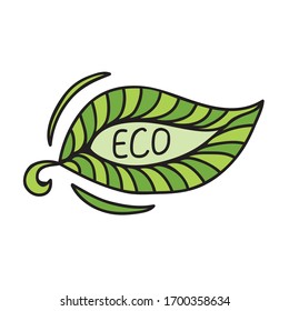 Beautiful decorative element. Eco green leaf. Vector illustration