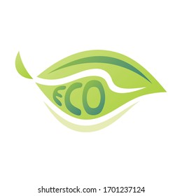 Beautiful decorative element. Eco green leaf. Vector illustration