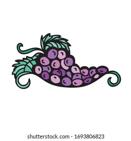 Beautiful decorative element. Grape. Vector illustration