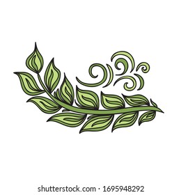 Beautiful decorative element. Green branch. Vector illustration