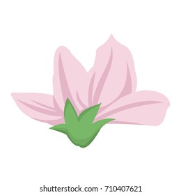 Beautiful decorative flowers