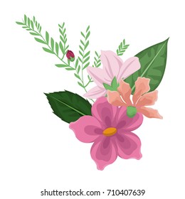 Beautiful decorative flowers