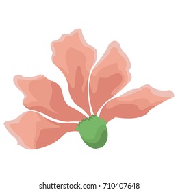 Beautiful decorative flowers