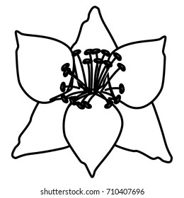 Beautiful decorative flowers