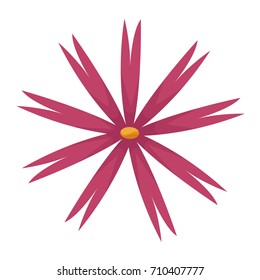 Beautiful decorative flowers