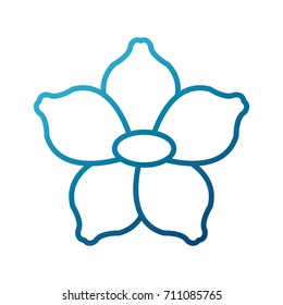 Beautiful decorative flowers