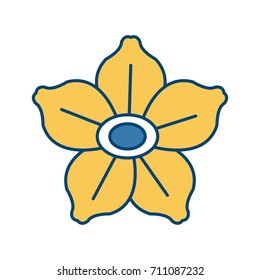 Beautiful decorative flowers
