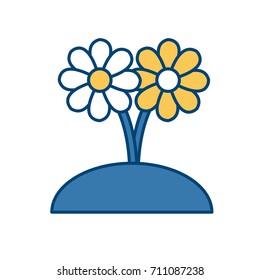 Beautiful decorative flowers