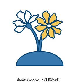 Beautiful decorative flowers